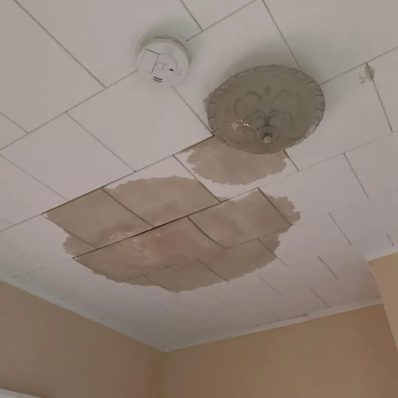 Ceiling Water Damage Repair in Apollo, PA
